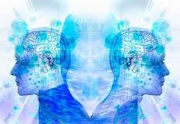 images (11)